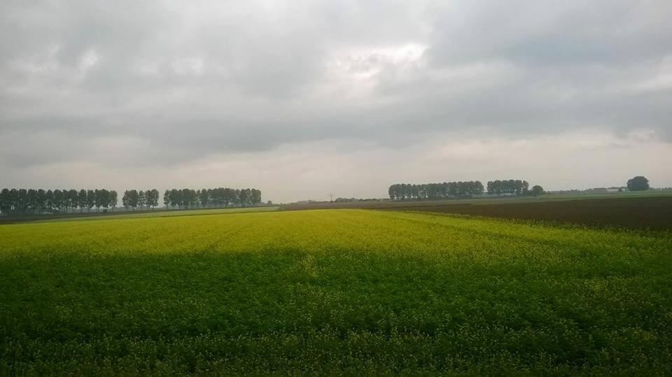 Het Zeeuws Verblijf Bed and Breakfast Terneuzen Exteriör bild