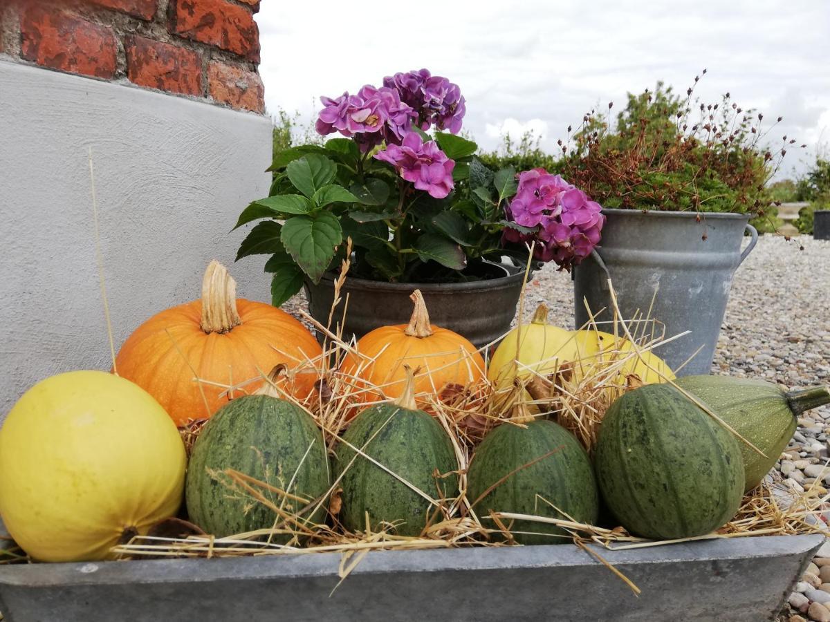 Het Zeeuws Verblijf Bed and Breakfast Terneuzen Exteriör bild