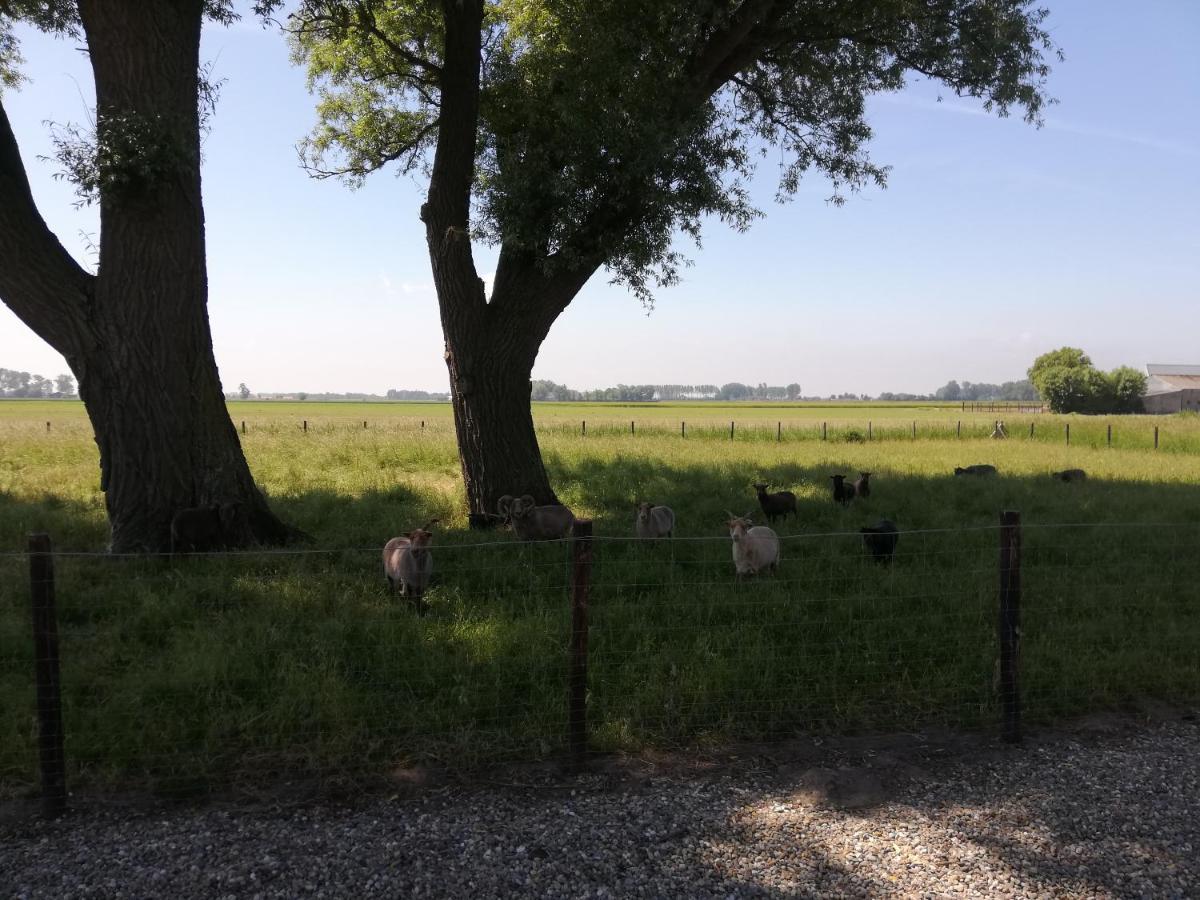 Het Zeeuws Verblijf Bed and Breakfast Terneuzen Exteriör bild